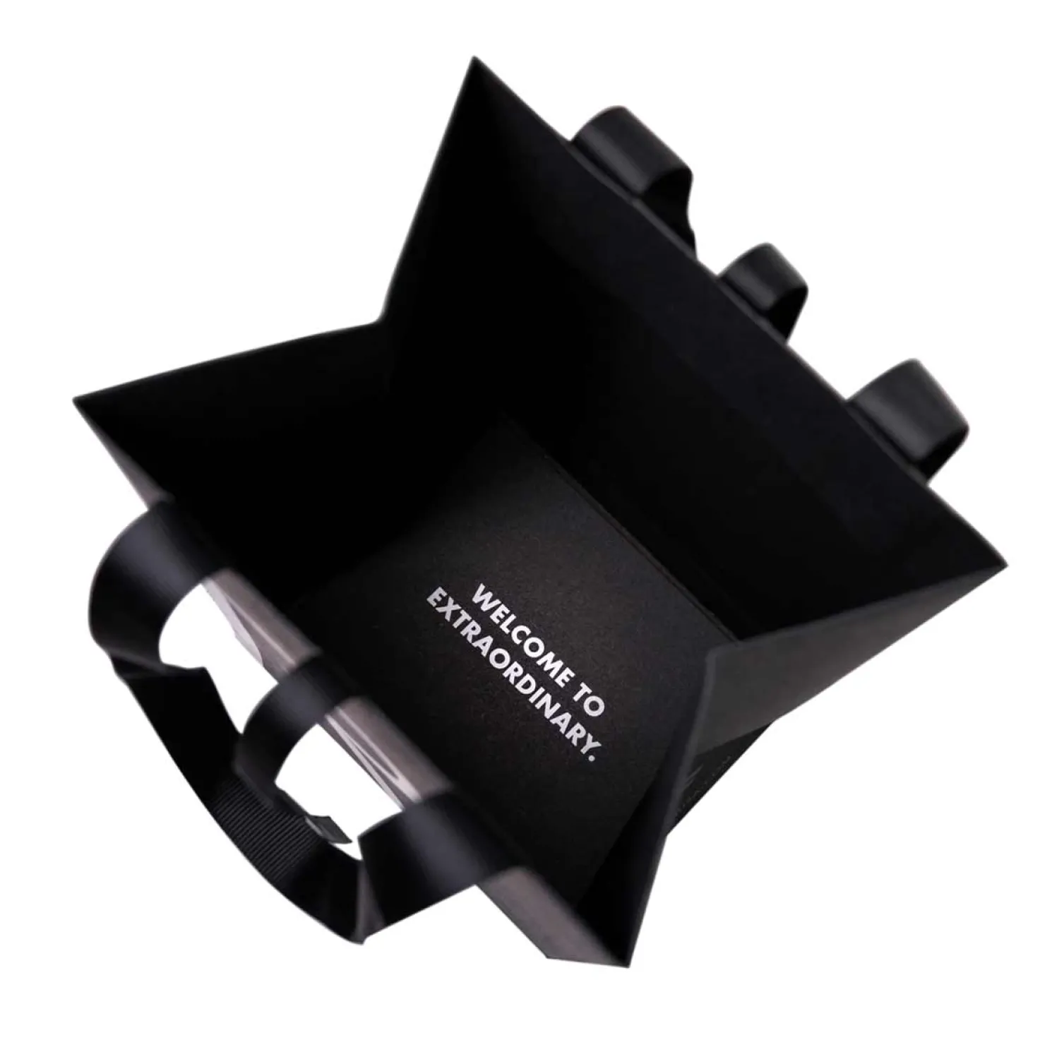 Randolph Engineering Gift Bag and Tissue